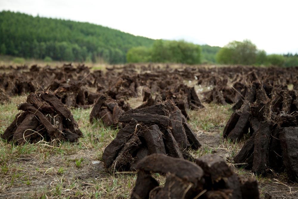 Protezione degli habitat, UE deferisce Irlanda per le torbiere