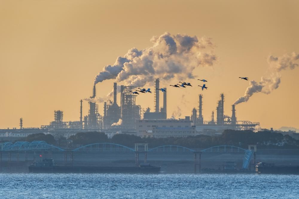 Non solo cuore e polmoni: smog e inquinamento dell’aria danneggiano anche i reni