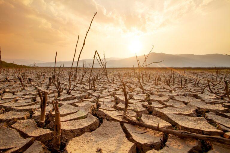 Siccità e allarme agricoltura: l&#8217;Italia è in pericolo?