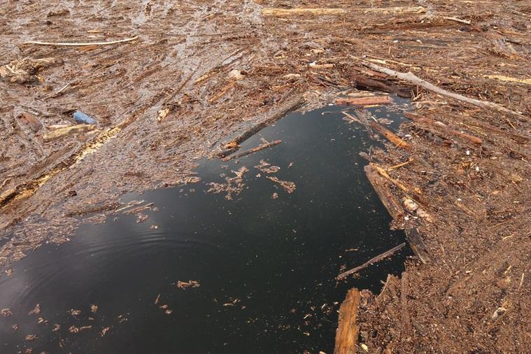 Inquinamento dell’aria: i dati di Como nel 1° trimestre 2024