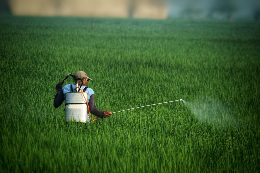 Residui di pesticidi negli alimenti, quanto c’è di vero?