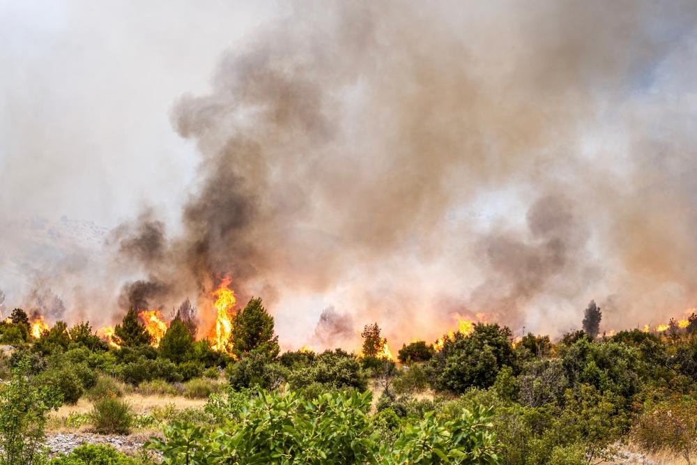 Incendi in Europa 2025: oltre 1 milione di ettari bruciati