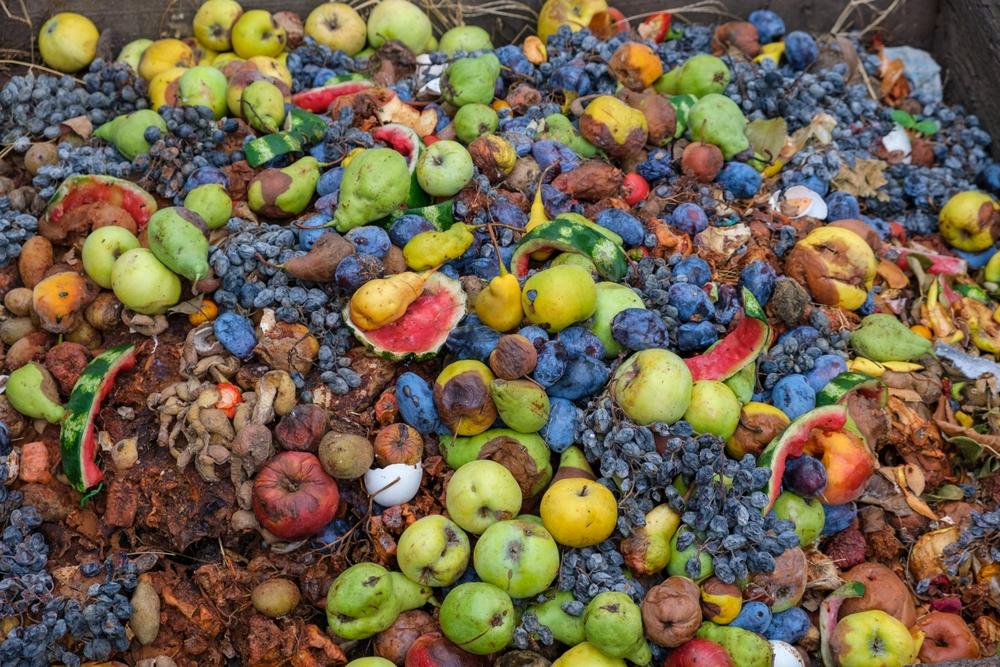 Spreco alimentare: 100 kg e 378 euro persi ogni anno
