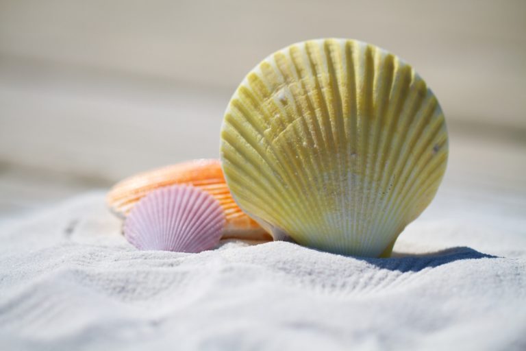 Cibi freddi, bibite zuccherate e “cocco bello”: 10 errori comuni sotto l’ombrellone