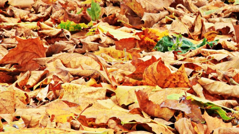 Autunno, è bello partire! Le vacanze alternative ricche di sorprese