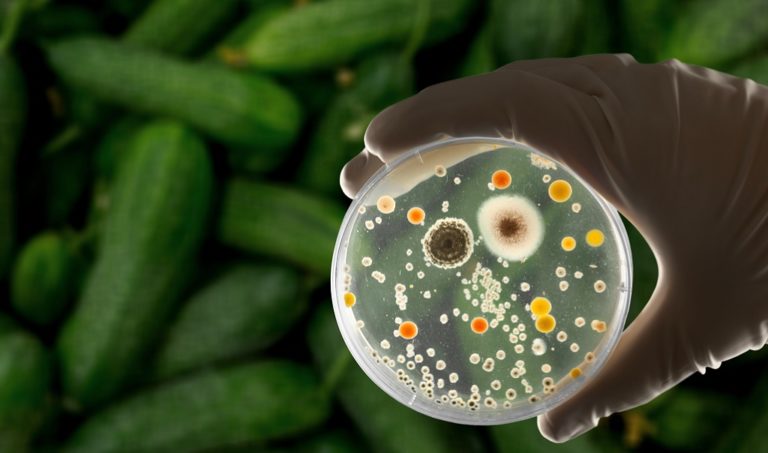 Danno alla salute da cibo contaminato: cosa sappiamo
