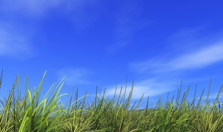 Giornata internazionale dei cieli blu: in tanti a difendere il diritto a respirare aria pulita